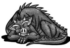 Valhalla-der-Drachen