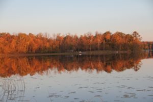 oct1st2016lilwebb